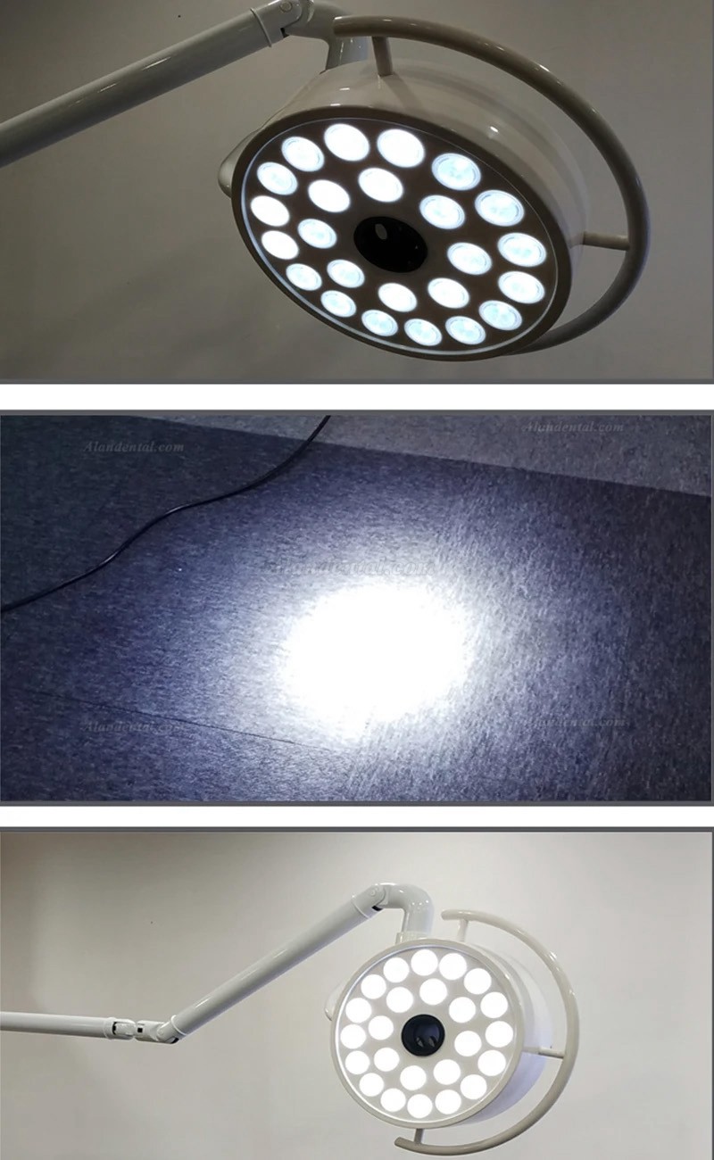 72W Dental Wall-Mounted Surgical Lamp 24 LEDs Dental Shadowless Operation Light